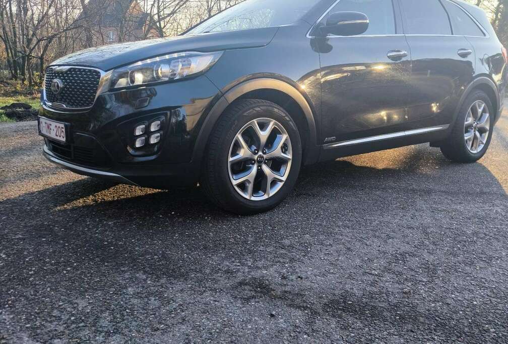 Kia 2.2 CRDi AWD Aut. Platinum Edition