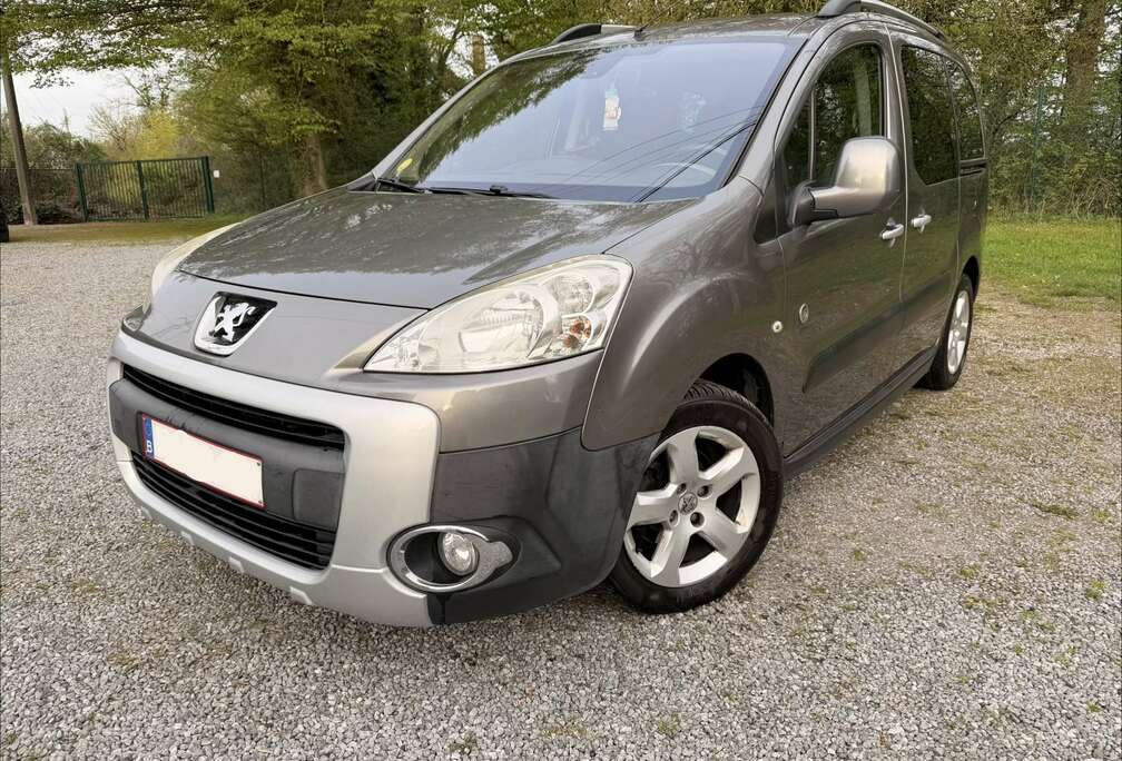 Peugeot Tepee Outdoor 1.6 HDi FAP