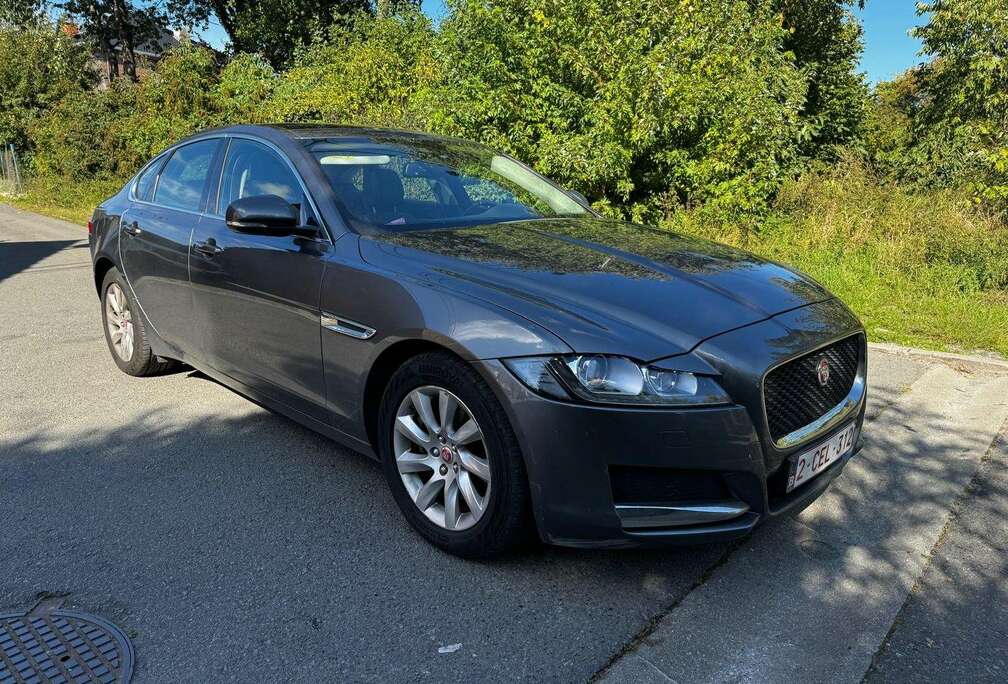 Jaguar XF 2.0 D E-Performance Business Ed.Prestige
