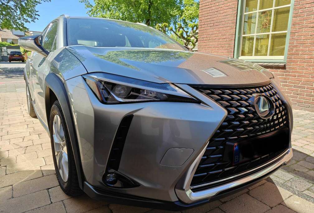 Lexus 2.0i AWD Privilege Line