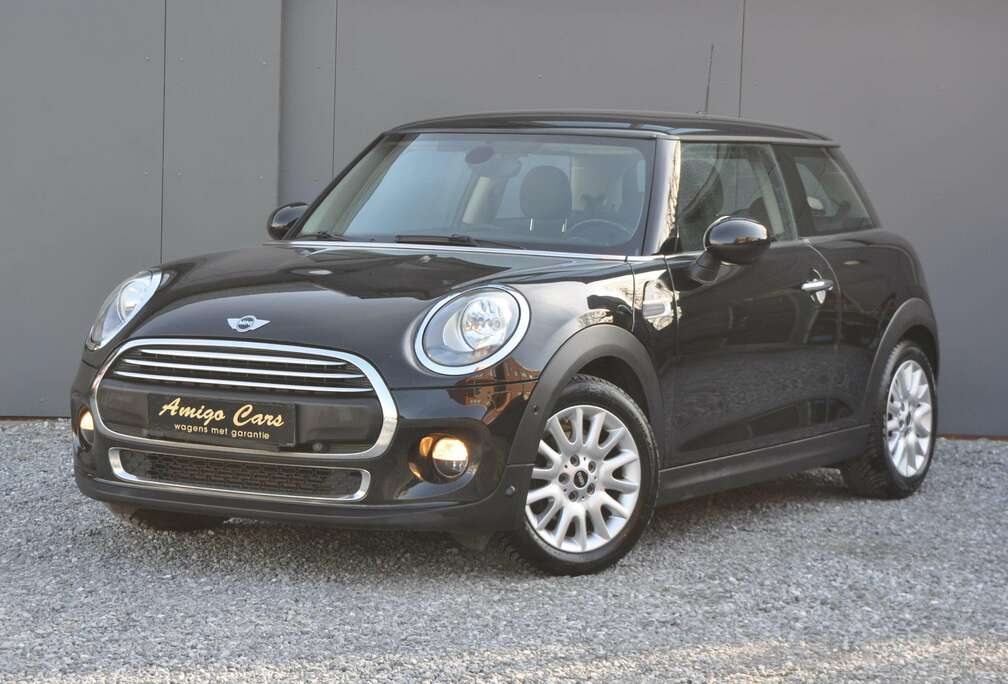 MINI NAVIGATIE-MULTISTUUR-PDC-CRUISE CONTROL