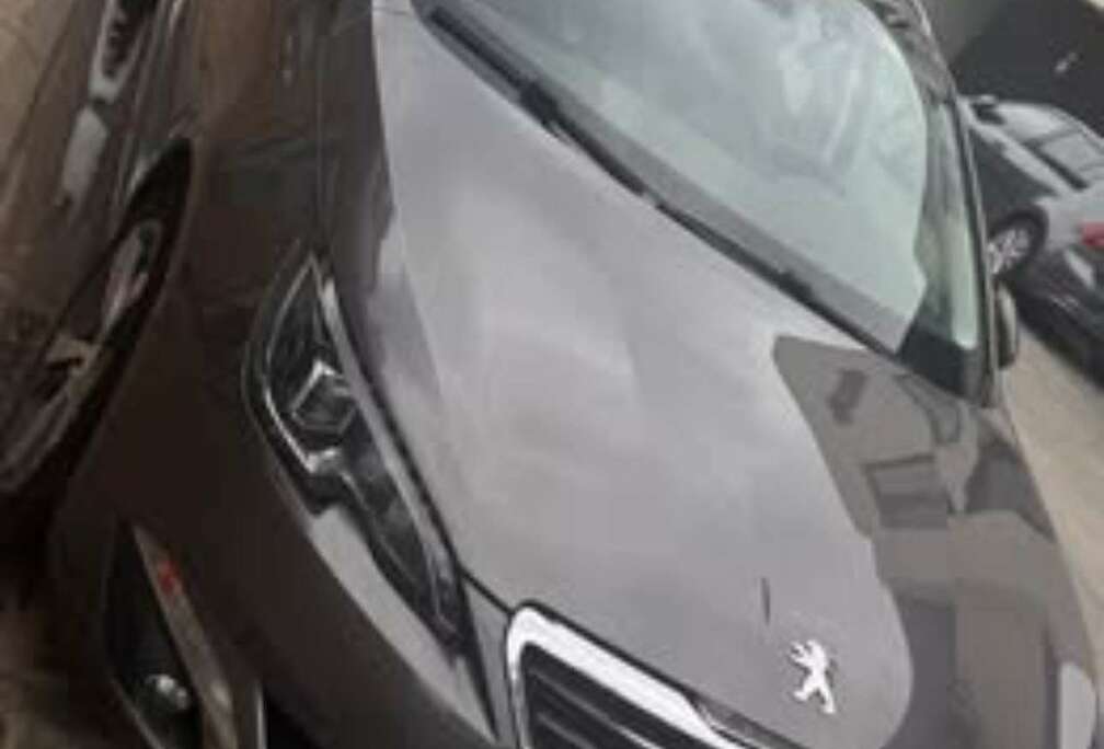 Peugeot SW 1.6hdi Panoramisch Dak