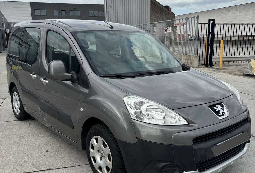 Peugeot 1.6i Combi Plus