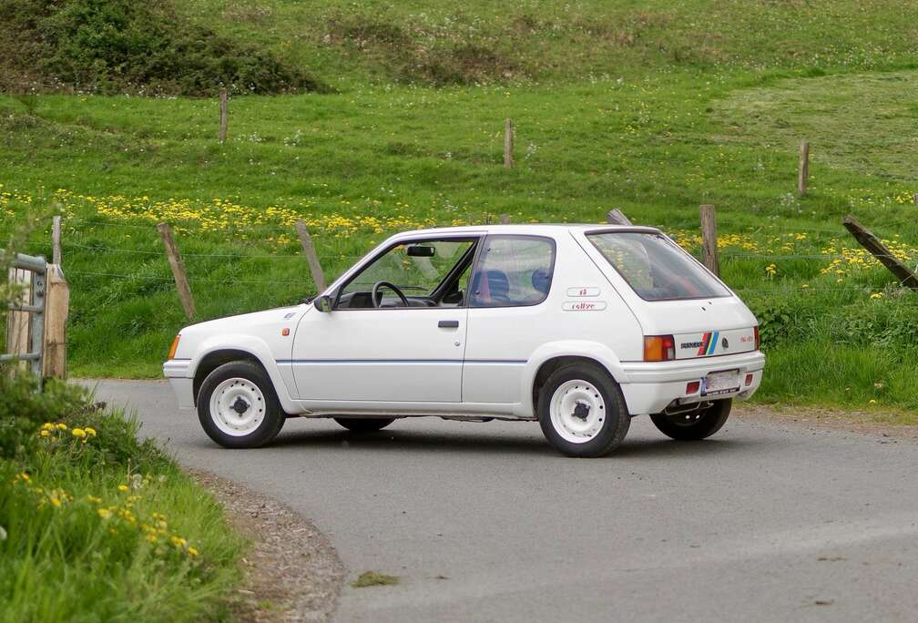 Peugeot RALLYE  RAW DRIVING EXPERIENCE  800KG  WEBER CA