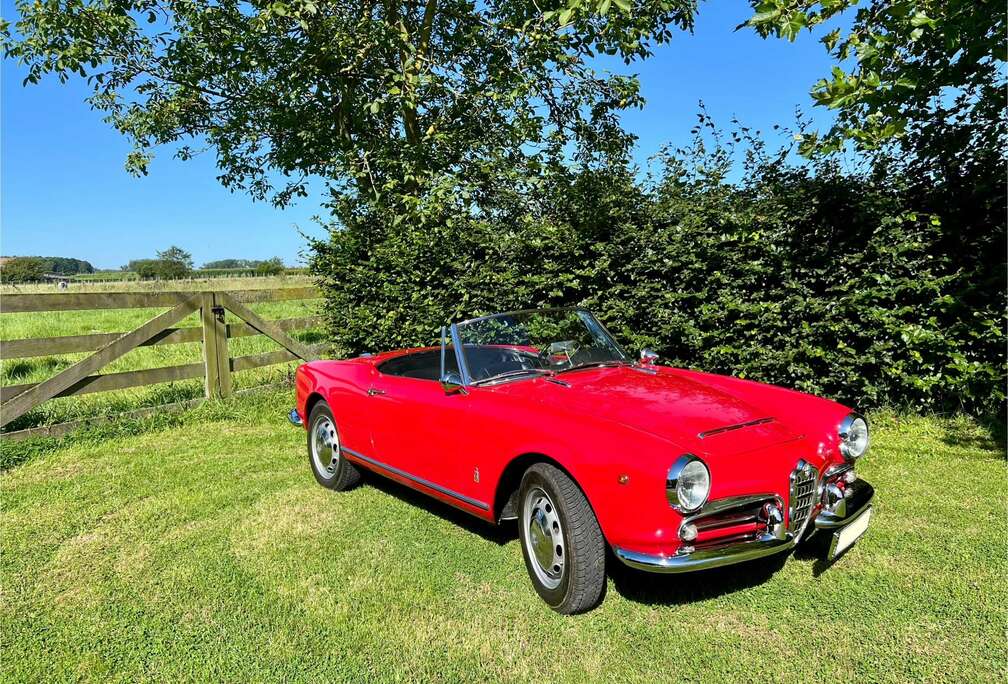 Alfa Romeo Spider VELOCE 101.18