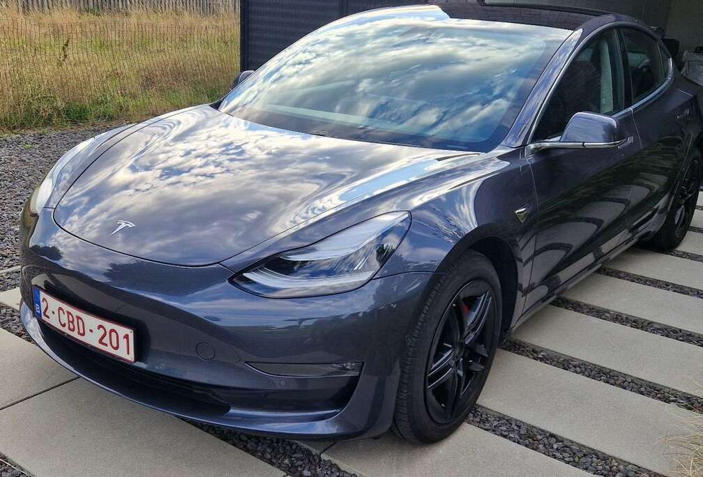 Tesla Langstreckenbatt. Allradantrieb Dual Motor