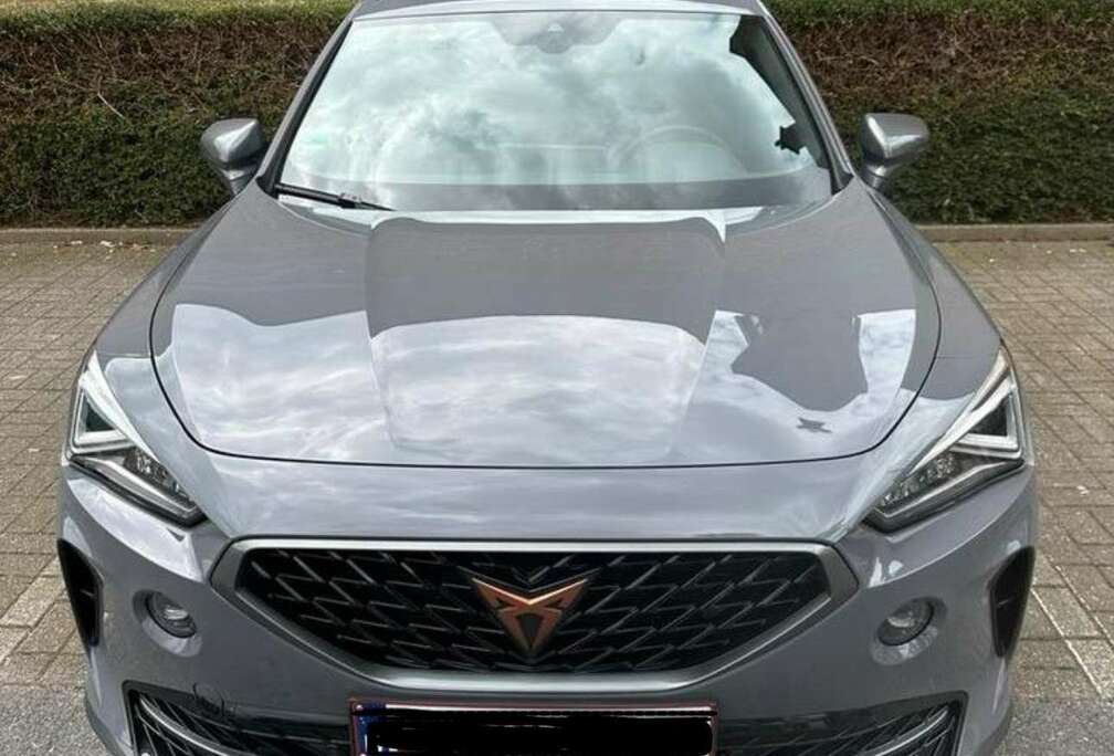 VZ 2.0 TSI 4Drive DSG