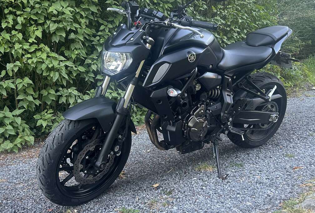 Akrapovic Carbon