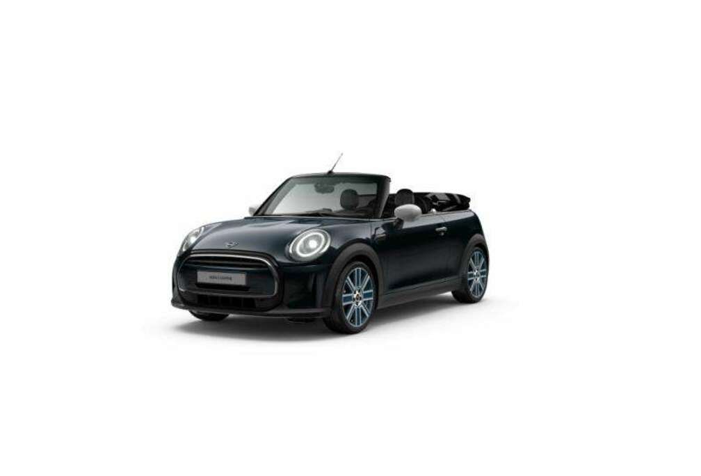 MINI NAVI - LEDER - PDC