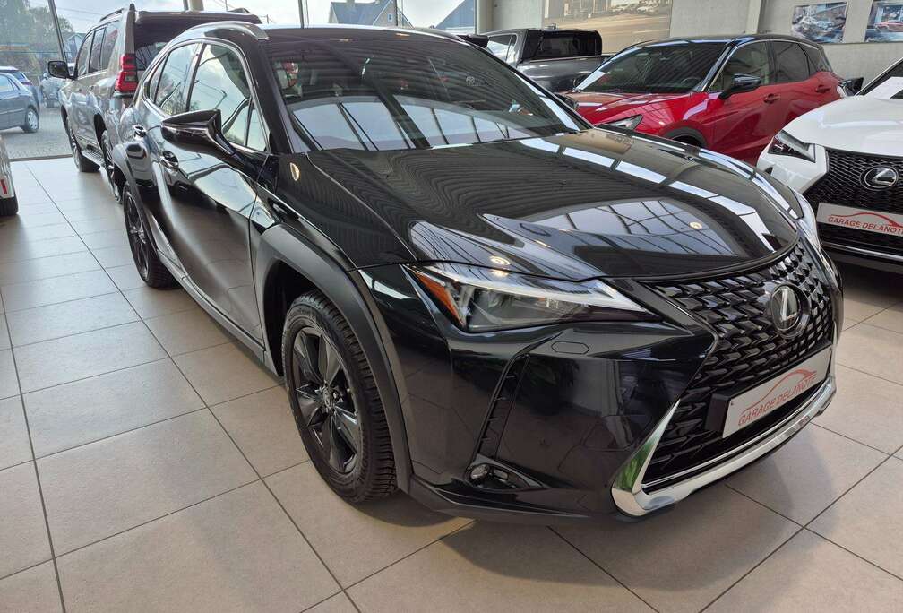 Lexus Hybrid TREKHAAK +LEDER +Zetelverwarming +Dodehoek