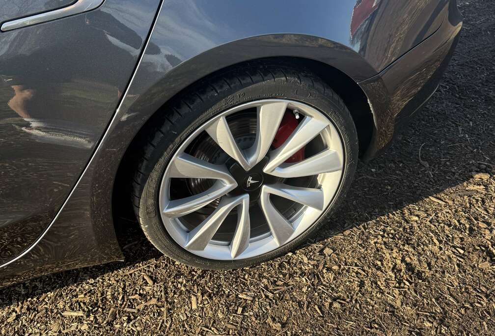 Tesla Langstreckenbatt. Allradantrieb Dual Motor Perform