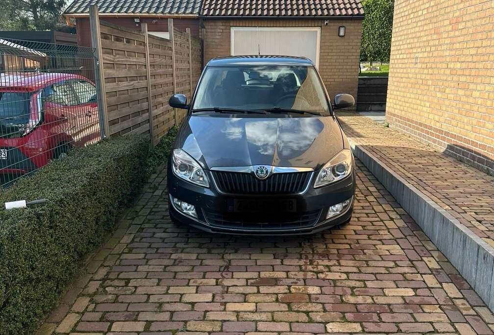 Skoda 1.2 TSI Elegance