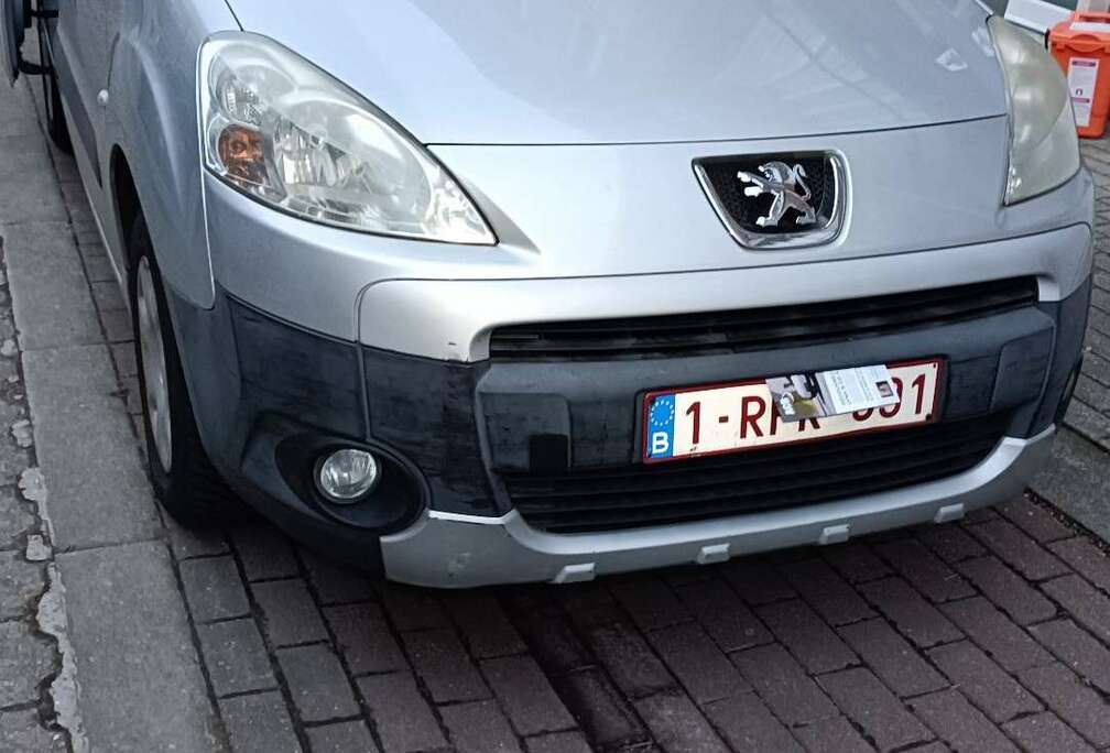 Peugeot Tepee 1.6 HDi 55 ch