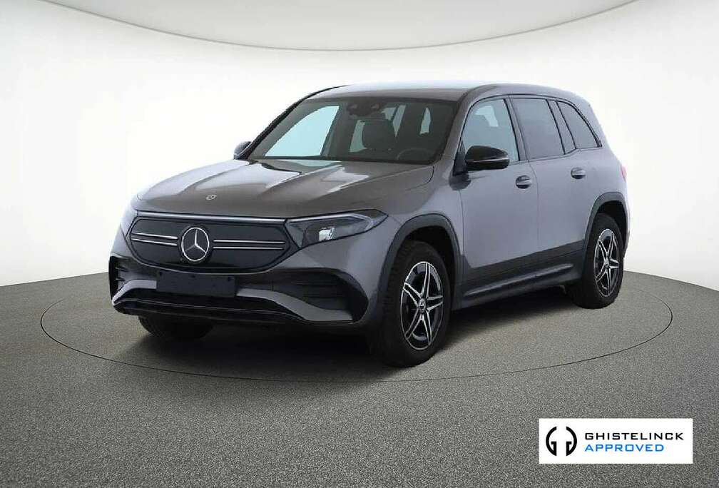 Mercedes-Benz 250+ Business Line