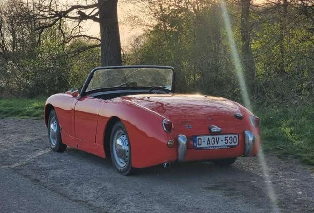 Frogeye