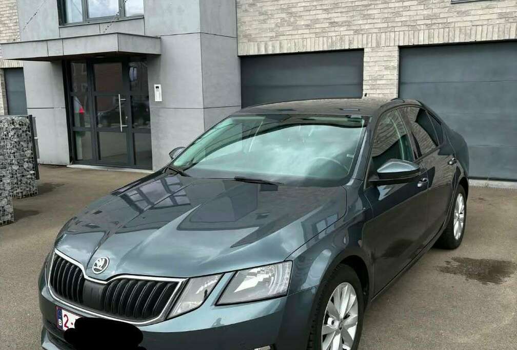 Skoda 1.0 TSI 116 ch Active prête à immatriculer