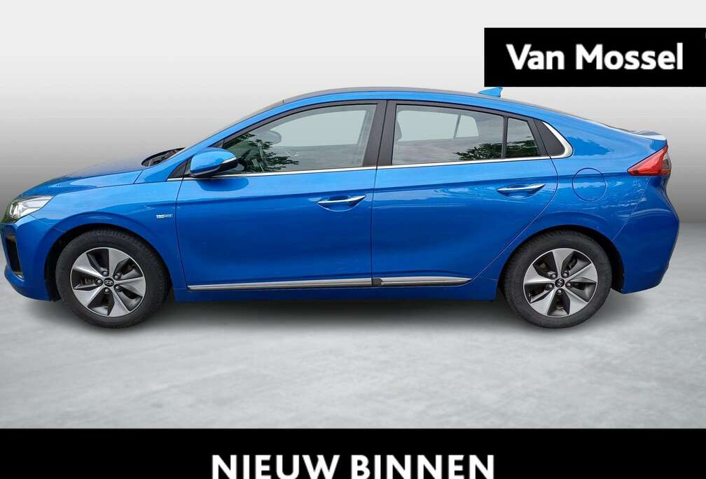 Hyundai Electric Executive