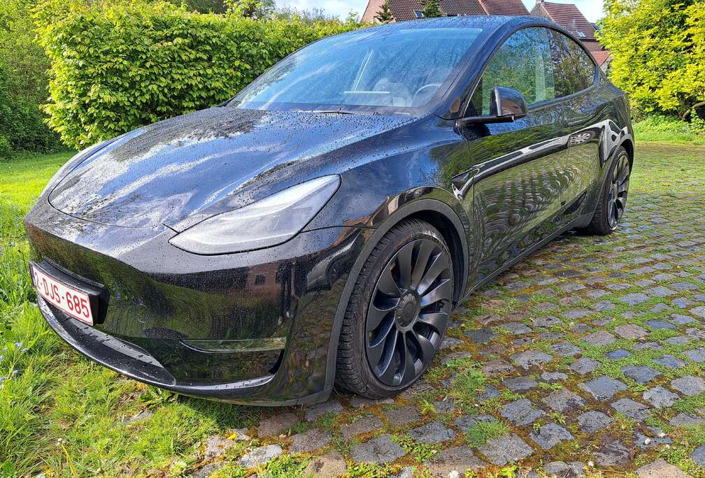 Tesla Model Y Performance Dual Motor AWD