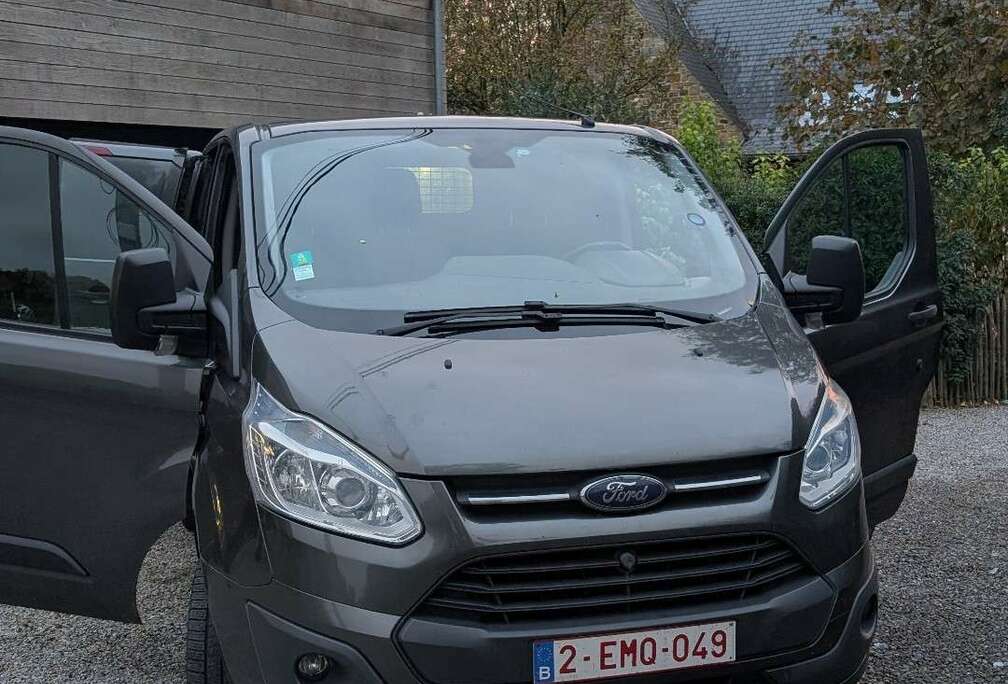 Ford 290 L1H1 LKW VA Basis