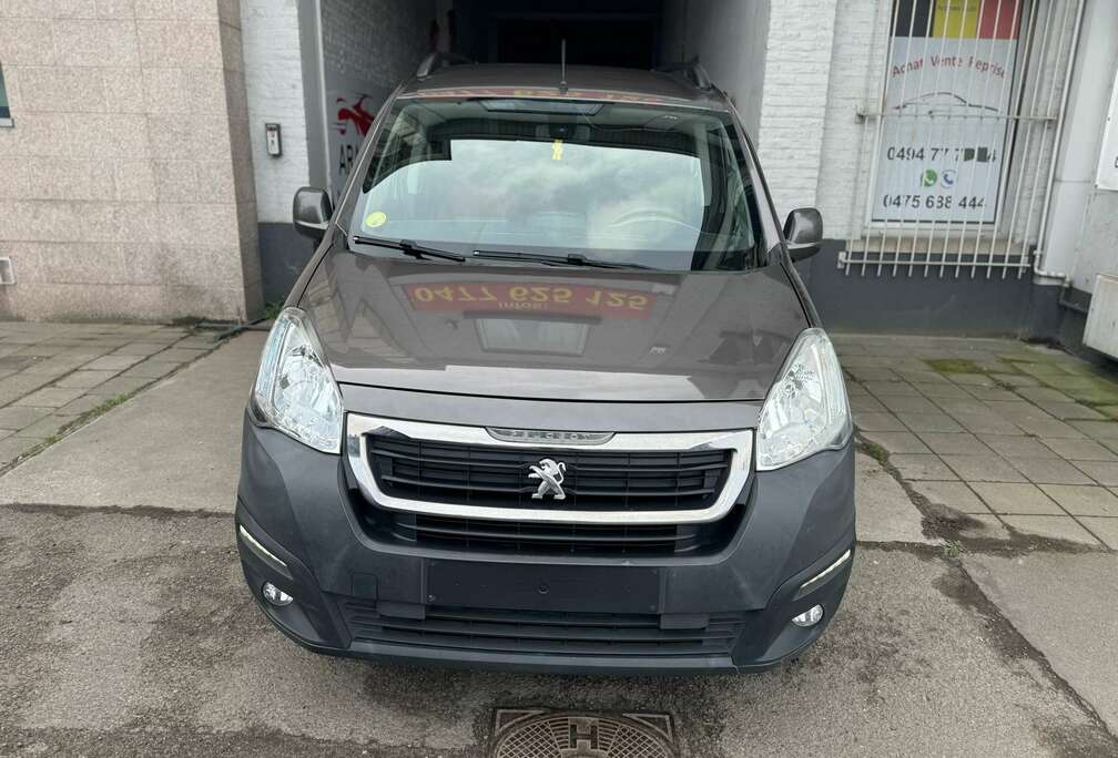 Peugeot Tepee 1.6 HDi Active