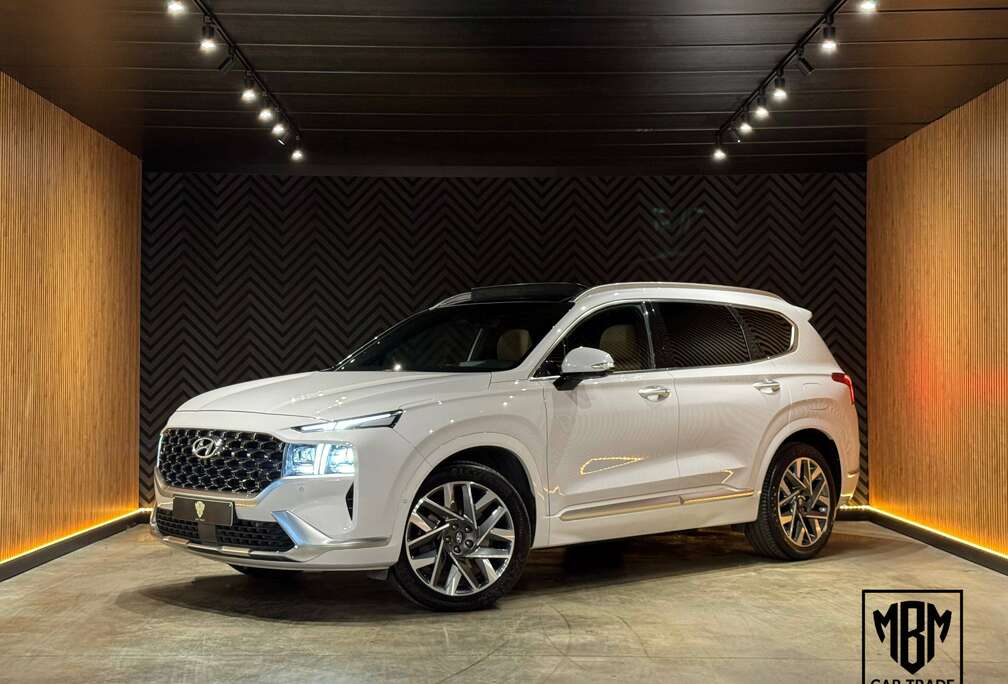 Hyundai ✅2.2 CRDi 12 Maanden GARANTIE 4WD Premium Plus Sky **FULL OPTION**