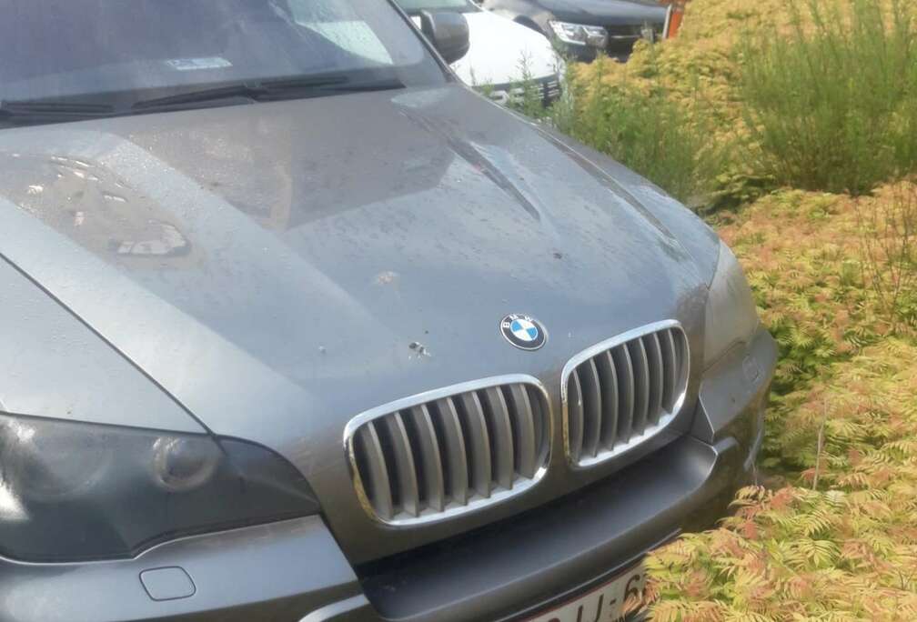 BMW X5 xDrive35d Edition 10 Pack M lichte vrachht