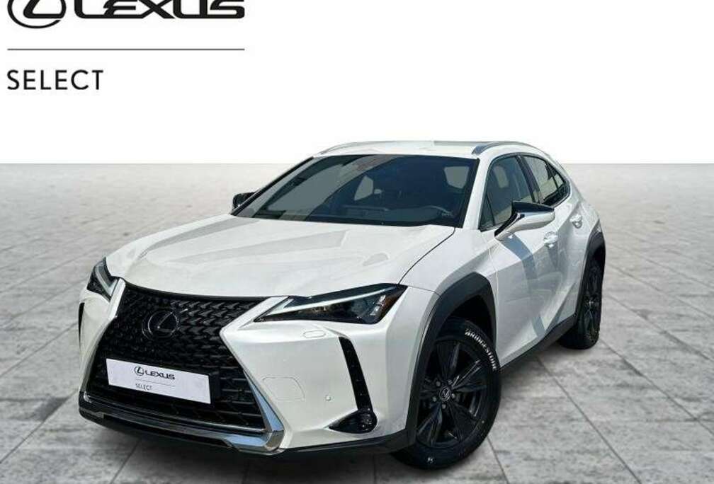 Lexus Business Line
