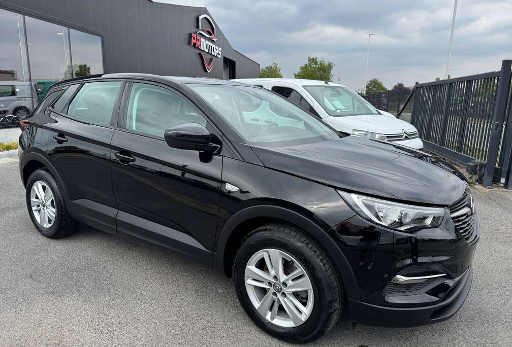 Opel Grandland X 1.2 1st eig ohboek cruise camera carplay pdc