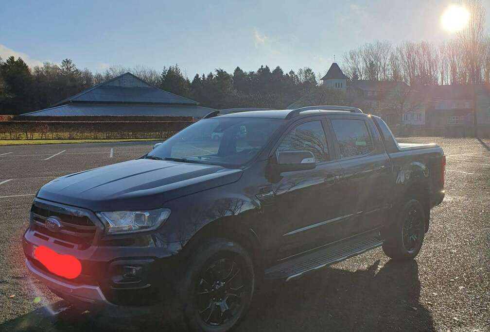 Ford 2.0 BiT EcoBlue Wildtrak (EU6.2)