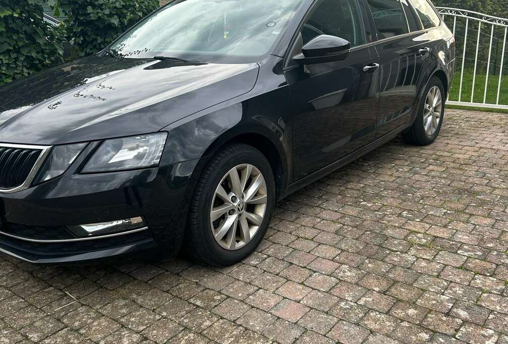 Skoda SW 1.6 CR TDi Ambition DSG