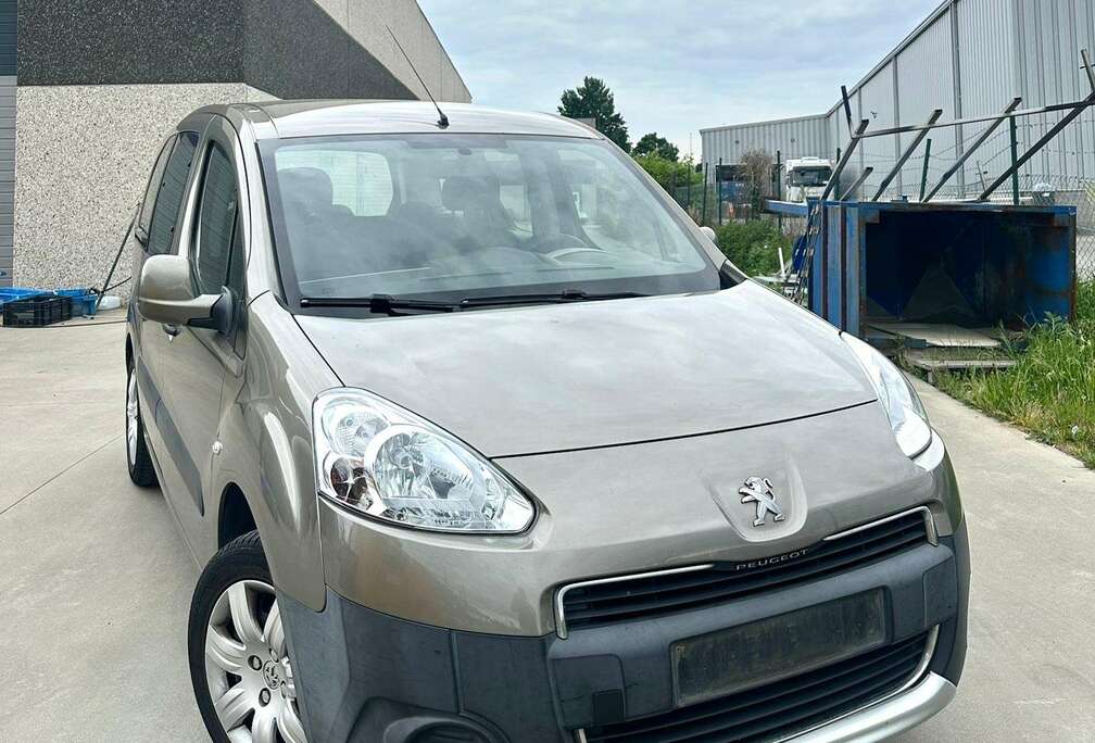 Peugeot 1.6 Benzine