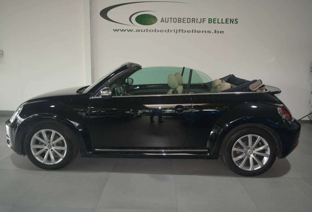 Volkswagen Beetle Cabriolet 1.2 TSI  CLUB  BMT / LEDER / NAVI / 17\