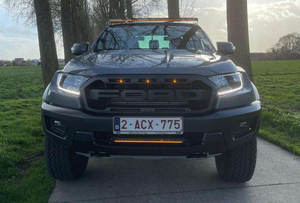 Ford 2.0 BiT EcoBlue Raptor (EU6.2)