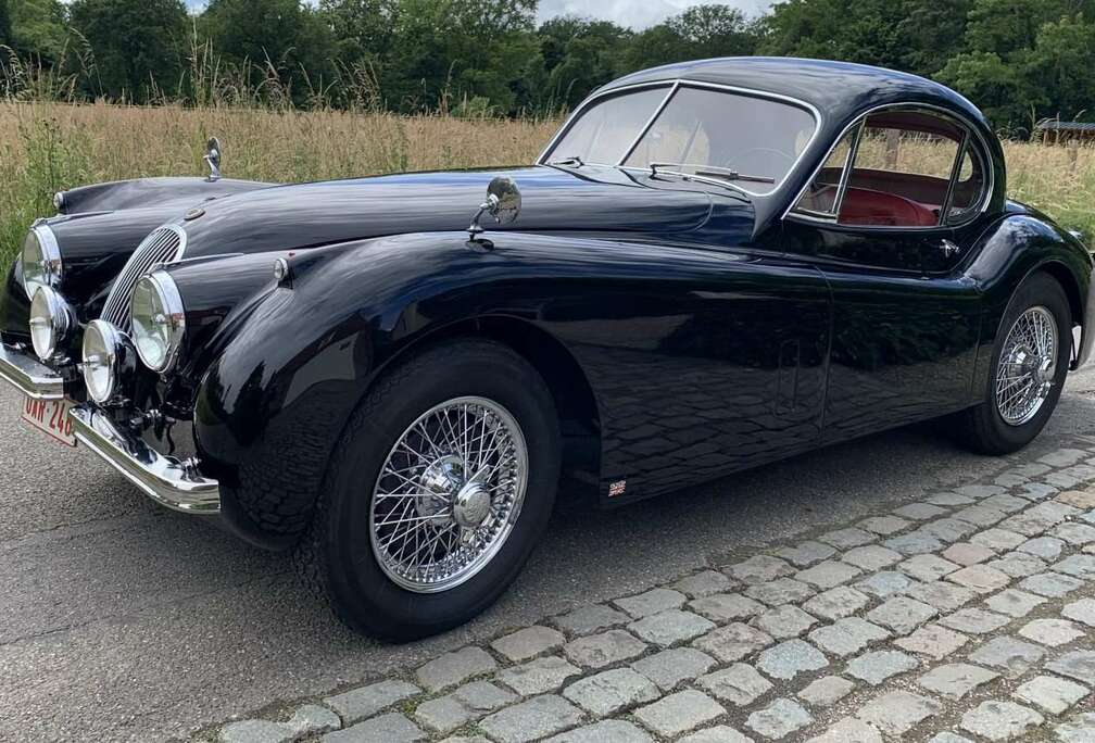 Jaguar XK 120 SE coupe