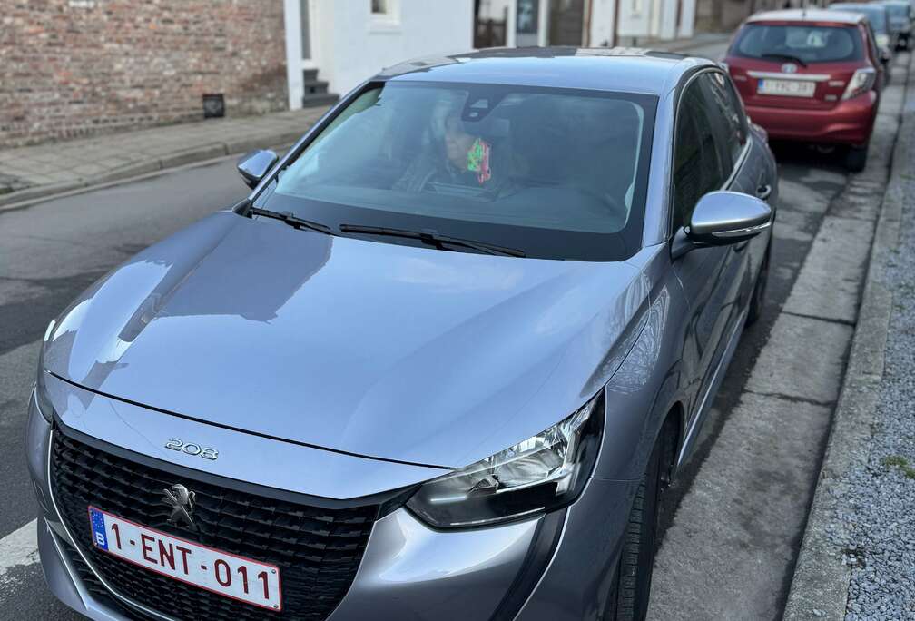 Peugeot 1.2i PureTech Like (EU6.3)