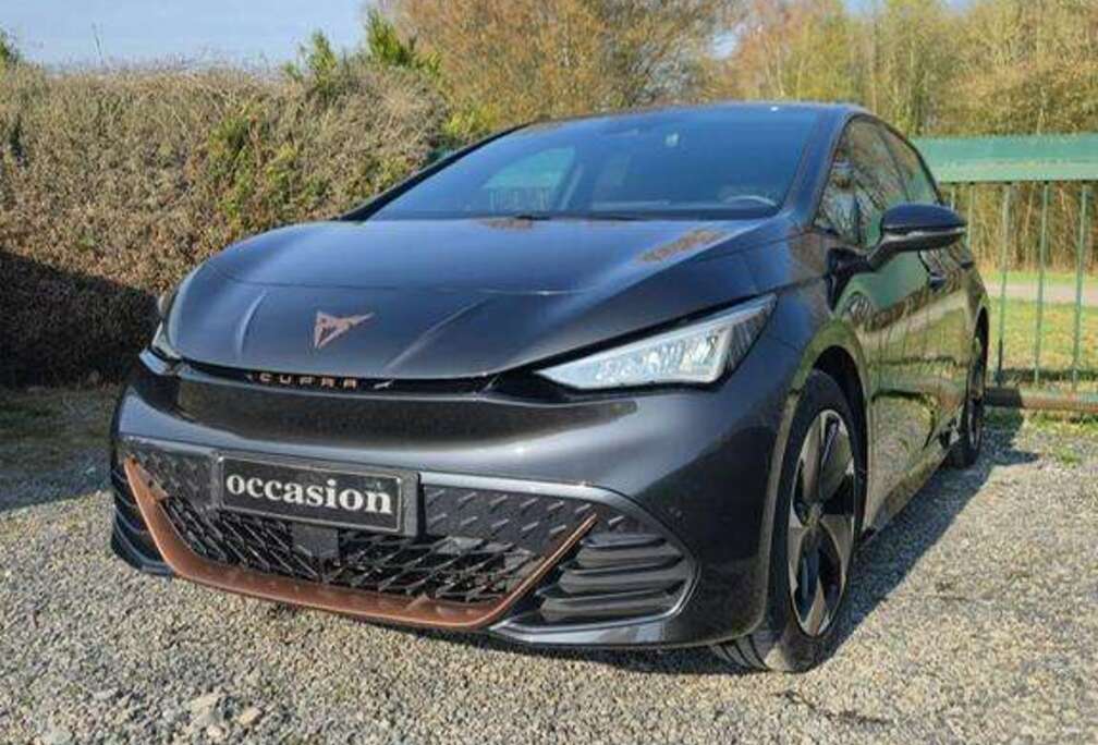 Born 58 kWh eBoost Business Edition