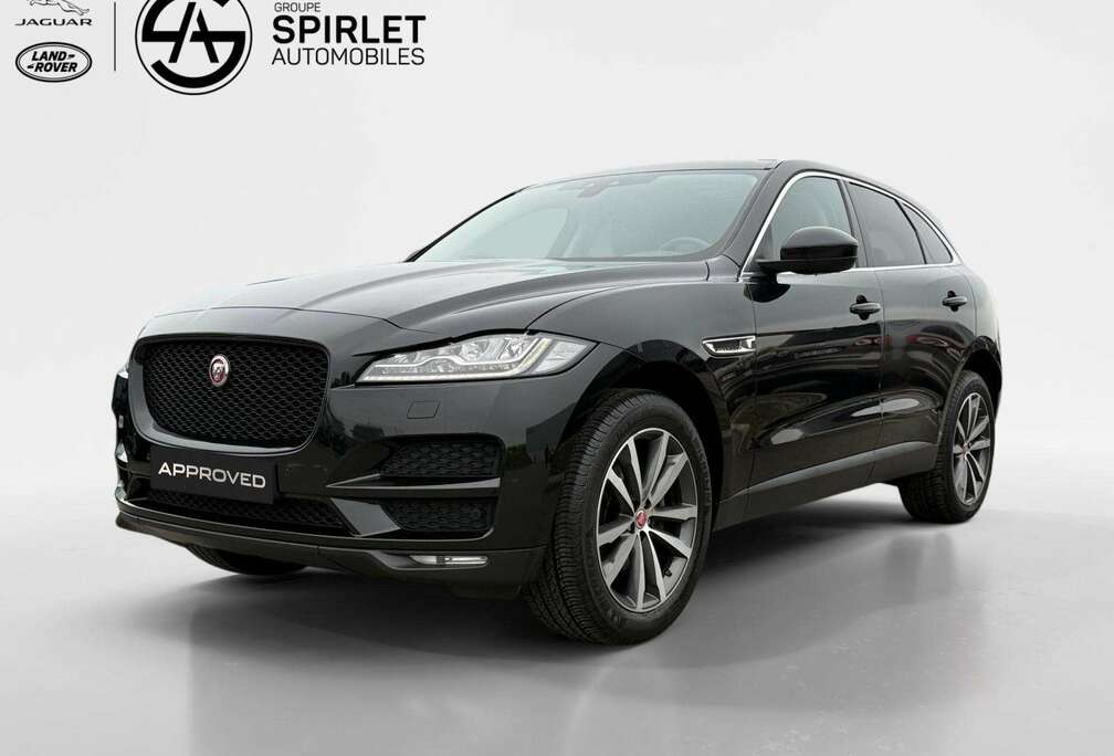 Jaguar Portfolio