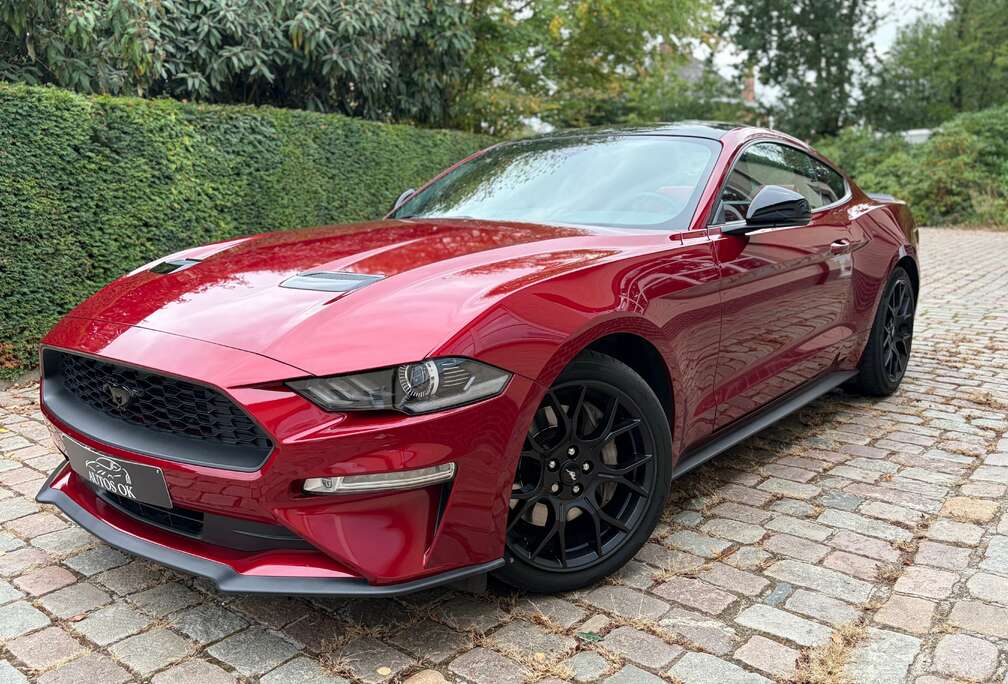 Ford 2.3 EcoBoost Fastback Ruby Red  ### 49000 km ###