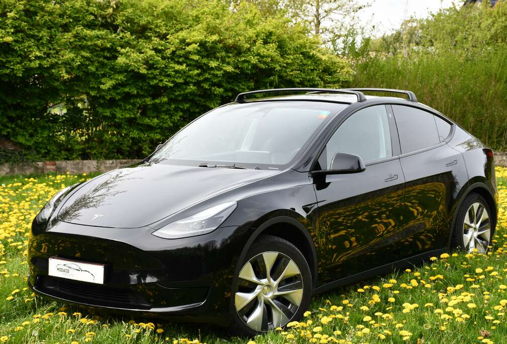 Tesla RWD 58 kWh  MAERA  LED  LEDER  PANO