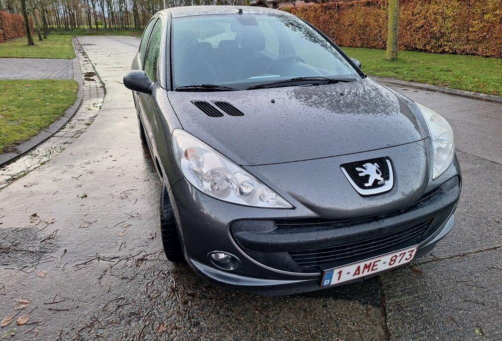 Peugeot 206+ 60