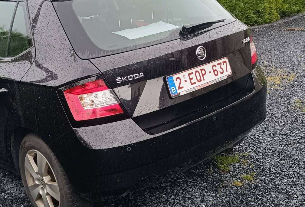 Skoda Fabia 1.2 TSI Ambition DSG