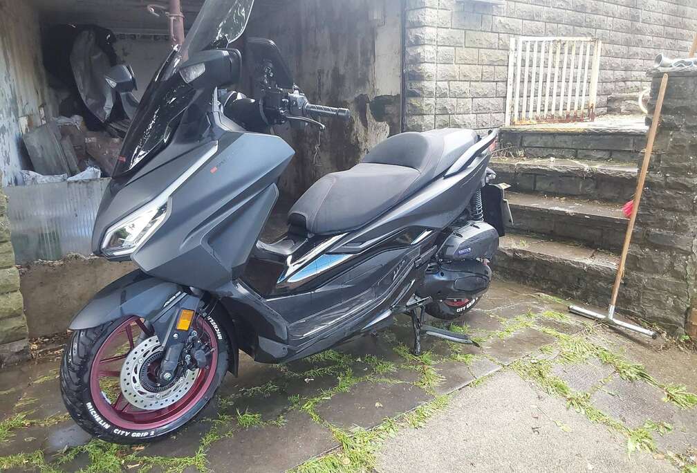 Honda Gt édition spéciale 2025