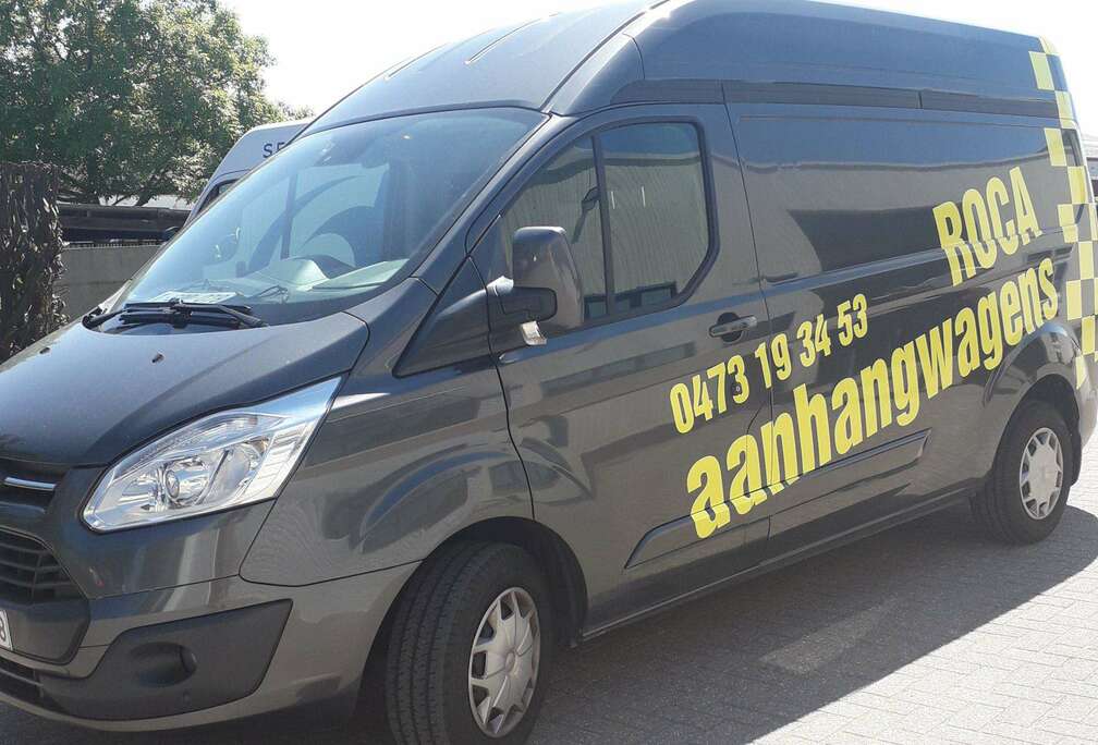 Ford Transit Custom 290 L2H2 LKW VA Basis