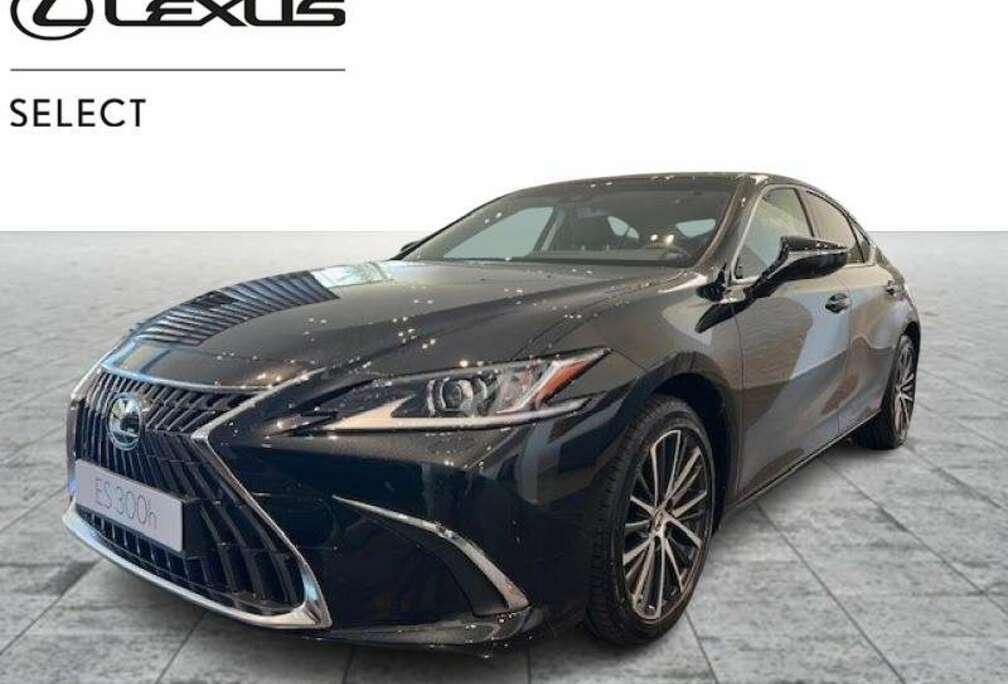 Lexus Business Line