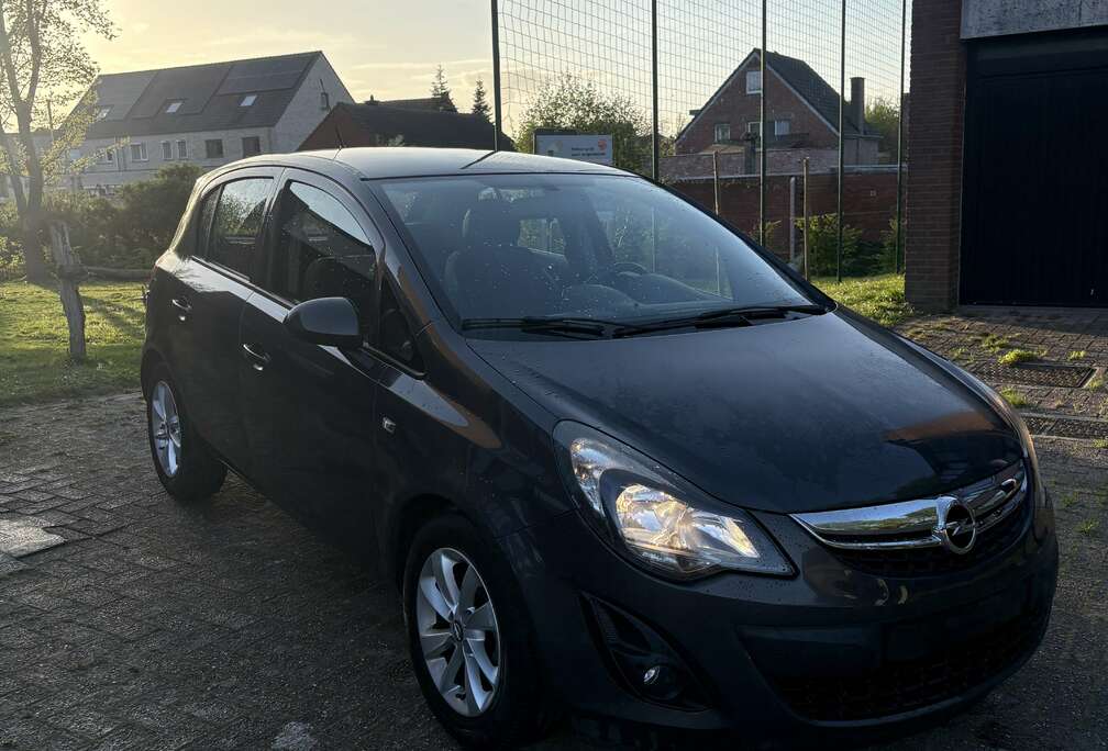 Opel 1.2i Benzine Bwj 2014