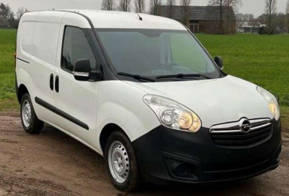 Opel 1.3 CDTi L1H1 (EU6)