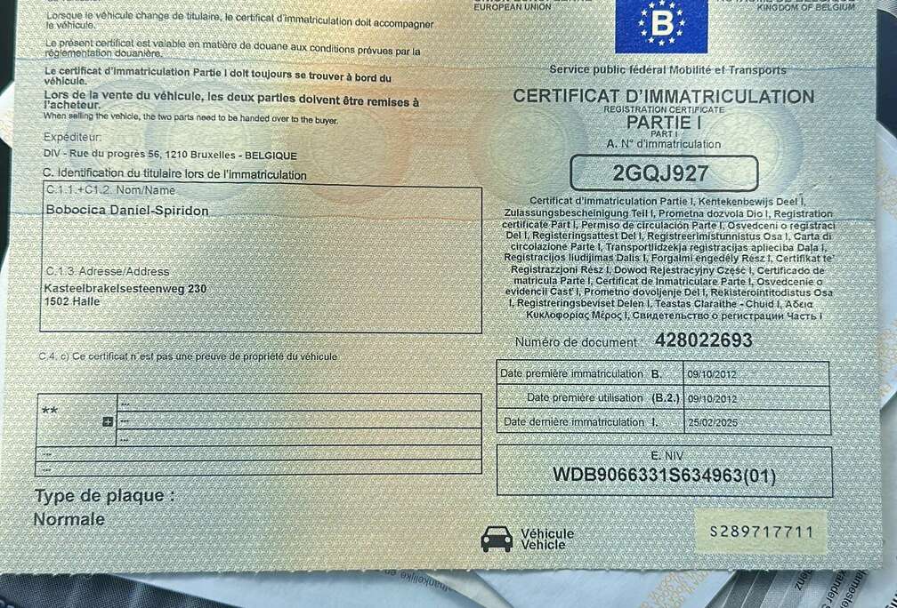 Mercedes-Benz 313 CDI 906.135