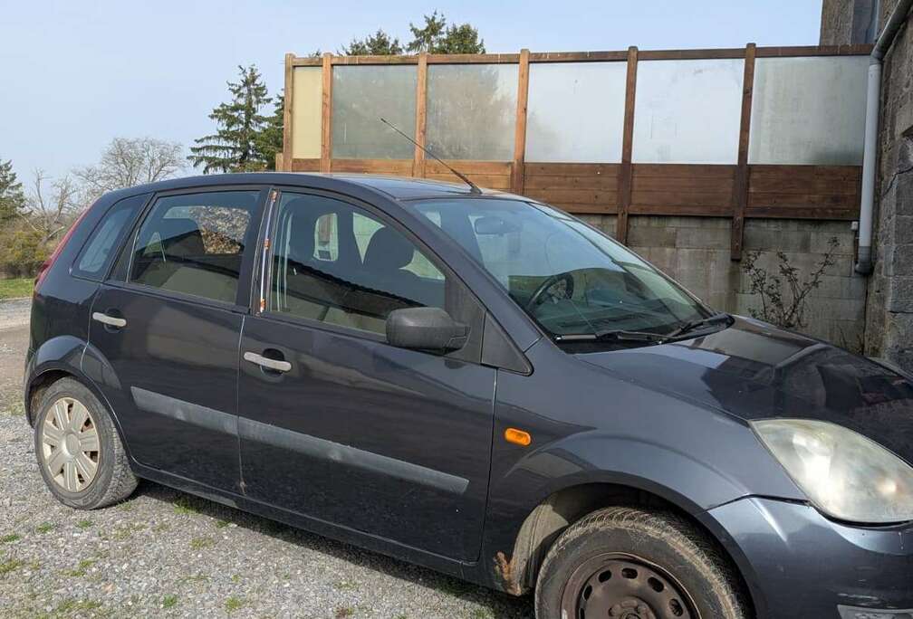 Ford Fiesta 1.4 Turbo TDCi Ambiente