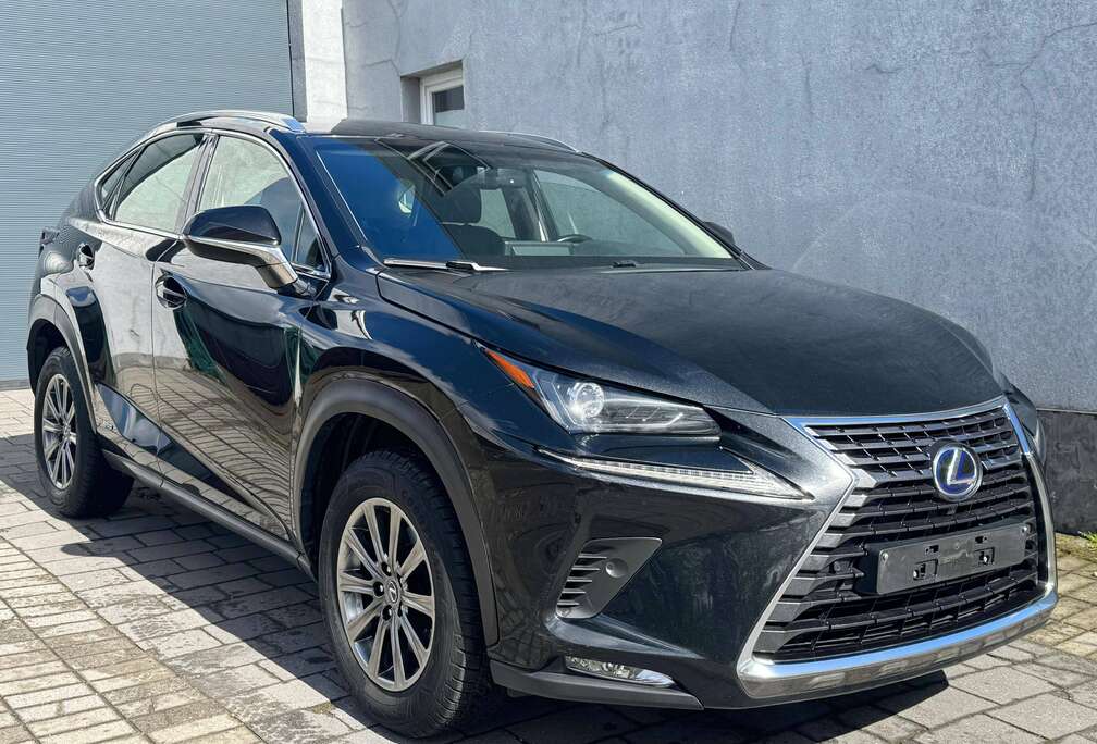 Lexus NX 300h 2.5i AWD Business Plus E-CVT