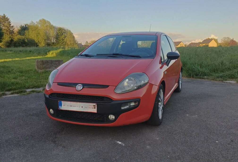 Fiat 1.3 MultiJet Dynamic
